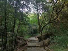 -广州白江湖森林公园