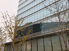 -Apple零售店(华贸购物中心店)