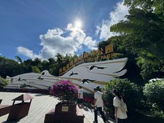 -西双版纳原始森林公园