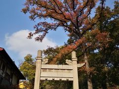 -灵谷景区