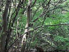 -句容茅山景区