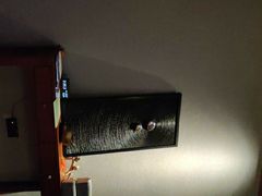 -金色春天.美颜康体纯正SPA(黄泥磅店)