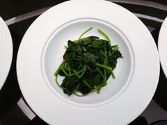-诺莱仕游艇会