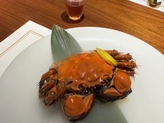 -觀芷隐轩