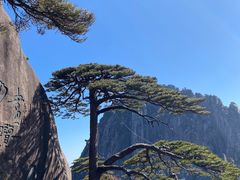 -黄山风景区