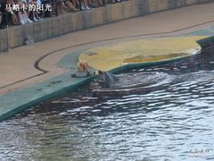 -秦皇岛乐岛海洋王国