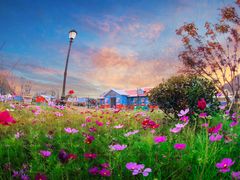 -云漫湖生态度假公园