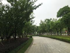 -南翔镇银翔湖公园