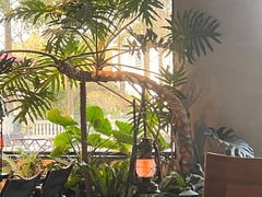 -J Create城市露营咖啡·简餐·宠物(上海动物园店)