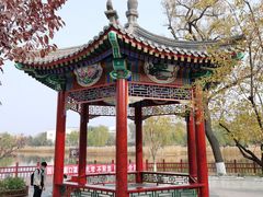 -西海子公园