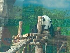 -大青山野生动物园