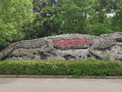 -中国扬子鳄村