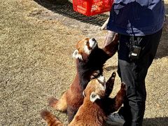 -水上乐园·欢乐世界