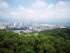 -金鸡山公园