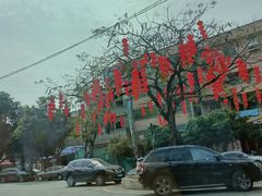 -德云居