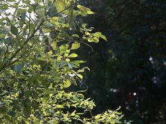 -狼山风景名胜区