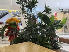 -野人先生Gelato(上海长宁龙之梦店)