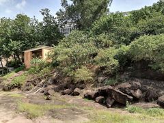 -广州七星岗古海岸遗址科学公园