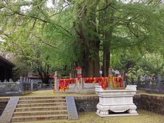 -潭柘寺景区