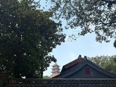 -狼山风景名胜区