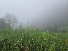 -石潭村