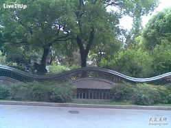 -丁香花园申粤轩·宴会厅