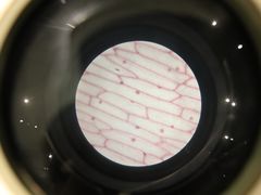 -香港科学馆