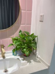 -漂亮妈妈通乳·塑形·产后恢复(奥体店)