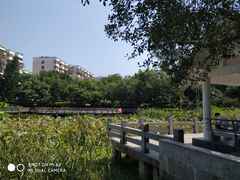 -光明港公园
