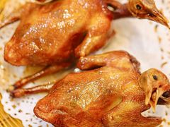 -有腥气私房菜·寻味顺德