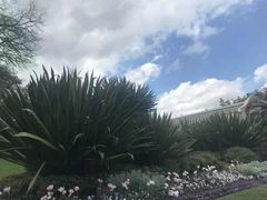 -墨尔本皇家植物园