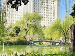 -西苑公园