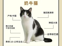 -申普宠物医院·眼科·心内科·影像科(普陀分院)