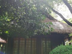 -中国茶叶博物馆(双峰馆区)