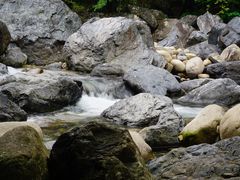 -石台牯牛降景区