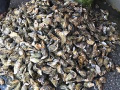 -霞涌市场海鲜摆卖区