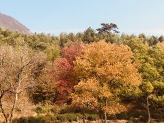 -塔川景区