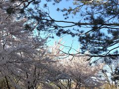 -青岛中山公园-索道售票处