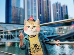 -武汉关码头(轮渡站)