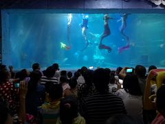 -梦幻海洋王国(吾悦广场张家港店)