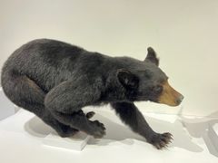 -中国湿地博物馆