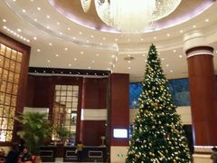 -上海圣淘沙万怡酒店