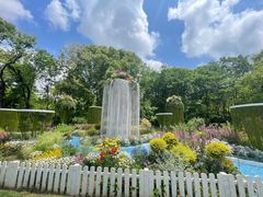 -上海共青森林公园