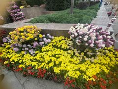-上海大学(宝山校区)