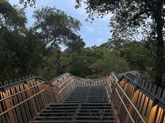 -福道