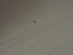 -邻岸海景民宿(南澳杨梅坑店)