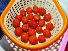 -小鱼草莓采摘园农家乐·小鱼餐厅