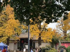 -方中山胡辣汤(成都首店)