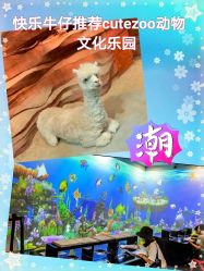 -酷嗒动物文化乐园(cutezoo西溪乐天城店)
