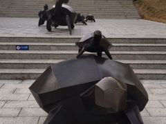 -广东惠东海龟国家级自然保护区